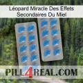 Léopard Miracle Des Effets Secondaires Du Miel 23